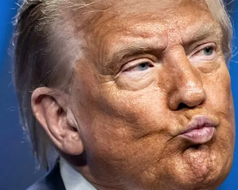 Trump vs Reality Review: No Other Channel Would Attempt TV So Daring (and) Mind-Numbing